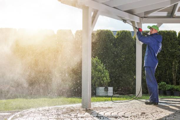 Best Roof Washing  in USA